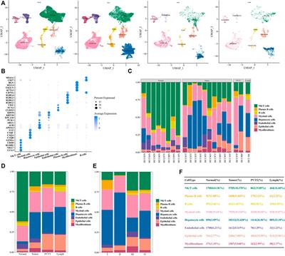 Insights on epithelial cells at the single-cell level in hepatocellular carcinoma prognosis and response to chemotherapy